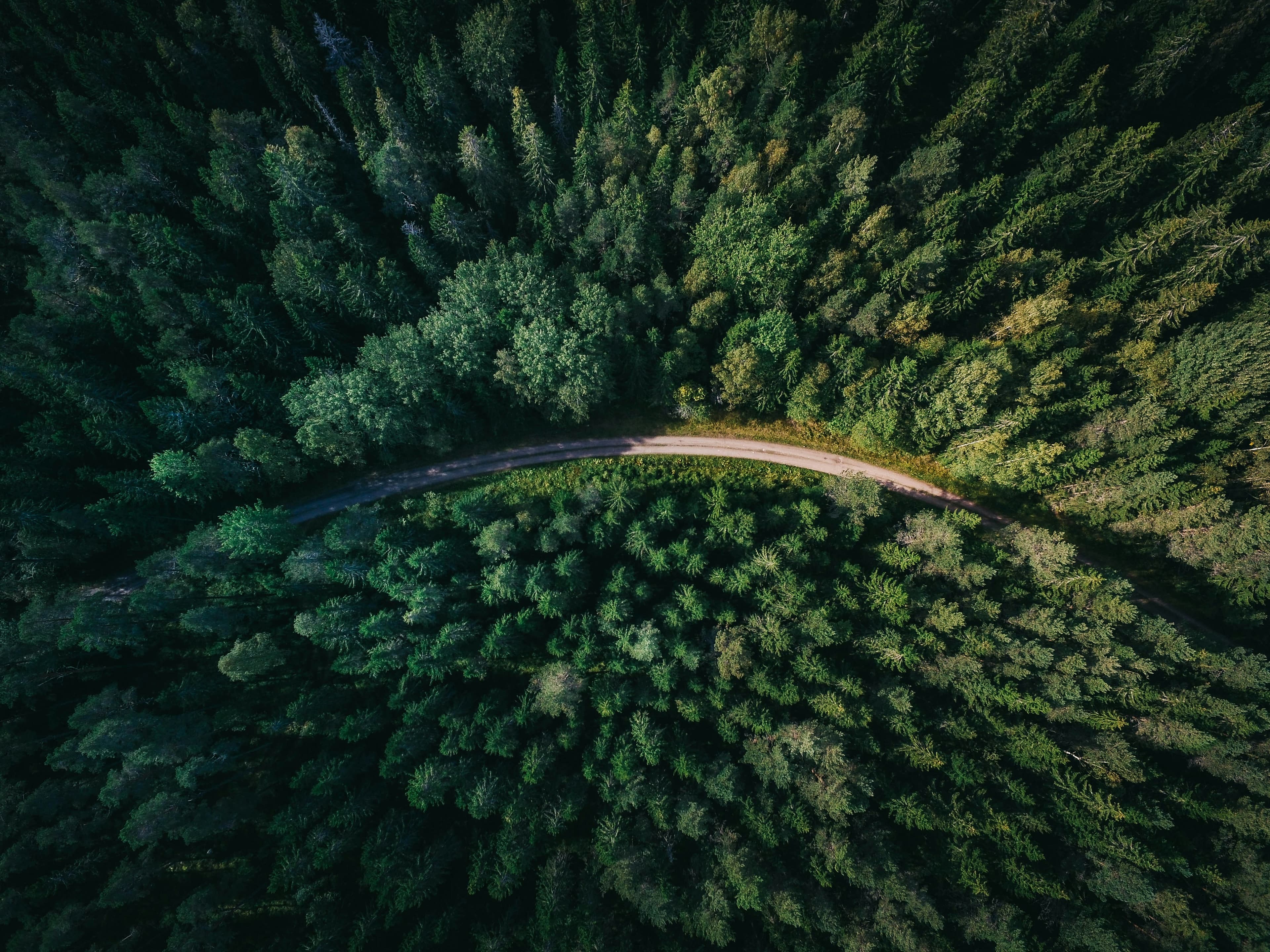 The Future of Engineering Project Management